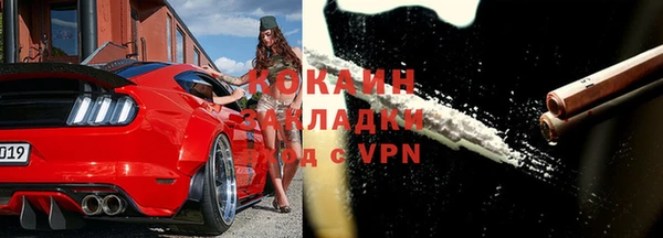 индика Богородск
