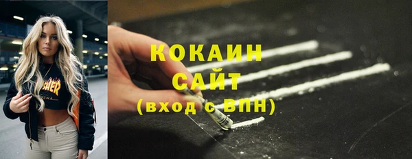 индика Богородск