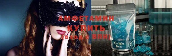индика Богородск