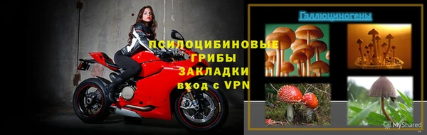 прущая мука Богданович