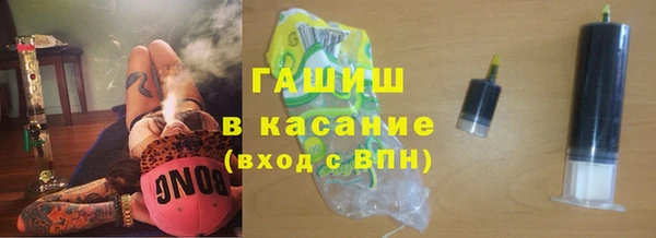 индика Богородск