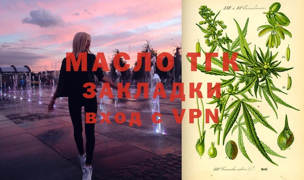 индика Богородск
