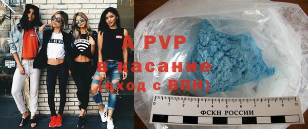 индика Богородск