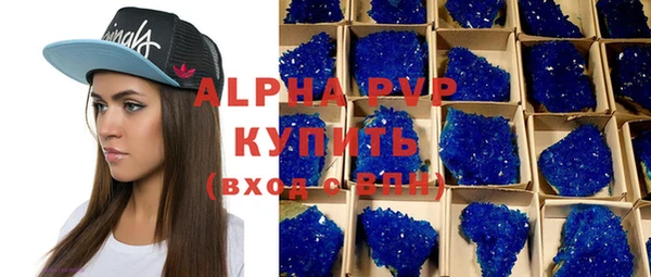 индика Богородск