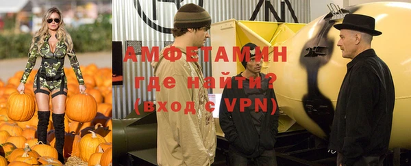 индика Богородск