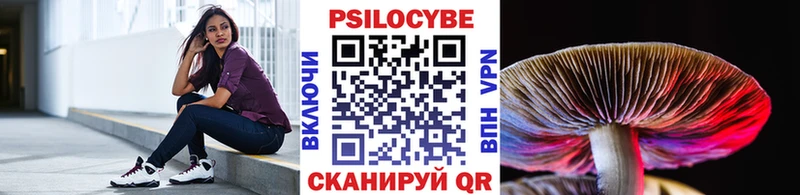 Псилоцибиновые грибы MAGIC MUSHROOMS  сколько стоит  Сургут 