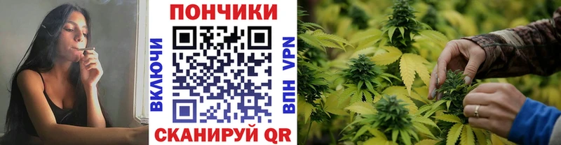 закладки Сургут Марихуана марихуана